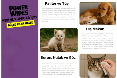 Power Wipes Kedi ve Köpekler İçin Islak Havlu